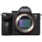 Sony Alpha a 7 III Mirrorless (Body)