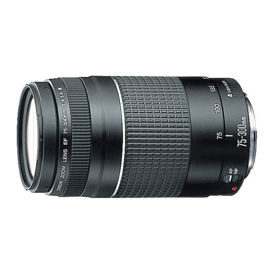 CANON EF 75-300 MM F/4-5.6 III Lente – Digital Photo Supply