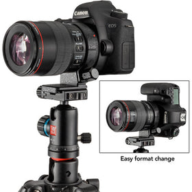Soporte para Lente Canon Ring D