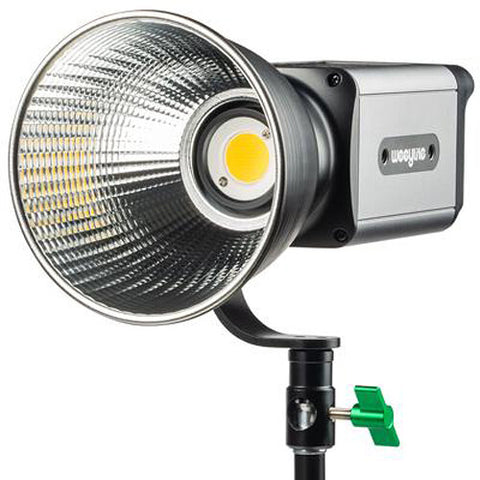 Ninja 300 Spotlight LED