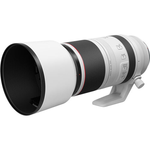 Canon RF 100-500mm f/4.5-7.1L IS USM Lente